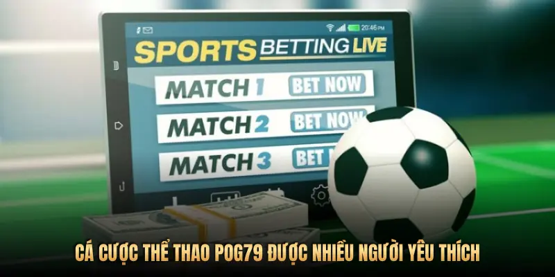 CÁ CƯỢC THỂ THAO POG79 ĐƯỢC NHIỀU NGƯỜI YÊU THÍCH