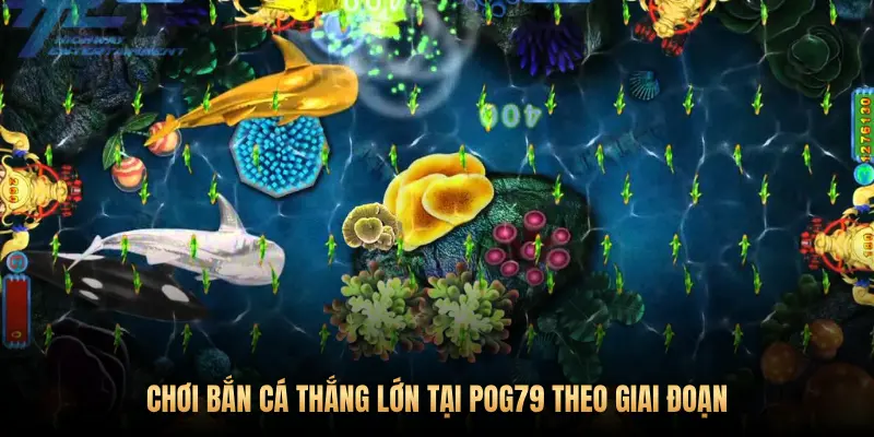 CHƠI BẮN CÁ THẮNG LỚN TẠI POG79 THEO GIAI ĐOẠN