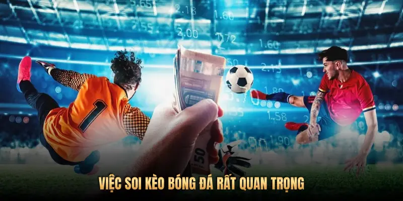 VIỆC SOI KÈO BÓNG ĐÁ RẤT QUAN TRỌNG